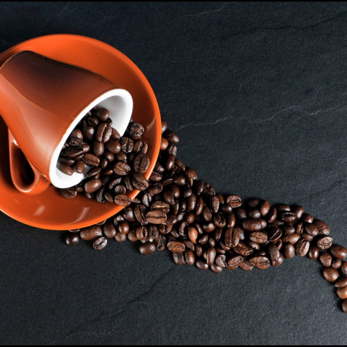 Westrock French Press Coffee Kit
