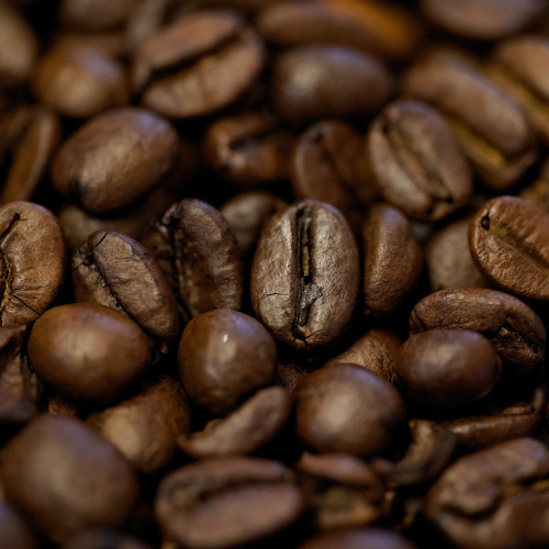 Westrock Signature Dark Roast Beans