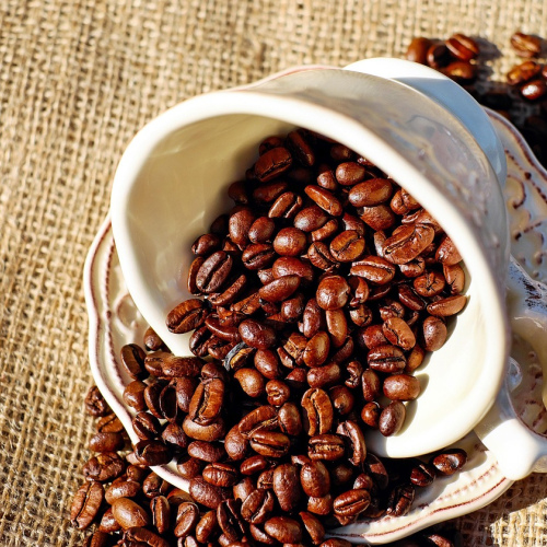 Westrock Single Origin Ethiopian Beans